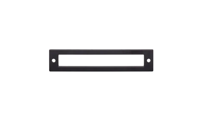 Raleigh Backplate