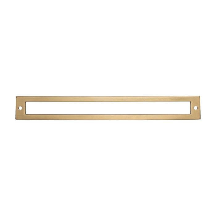 Raleigh Backplate