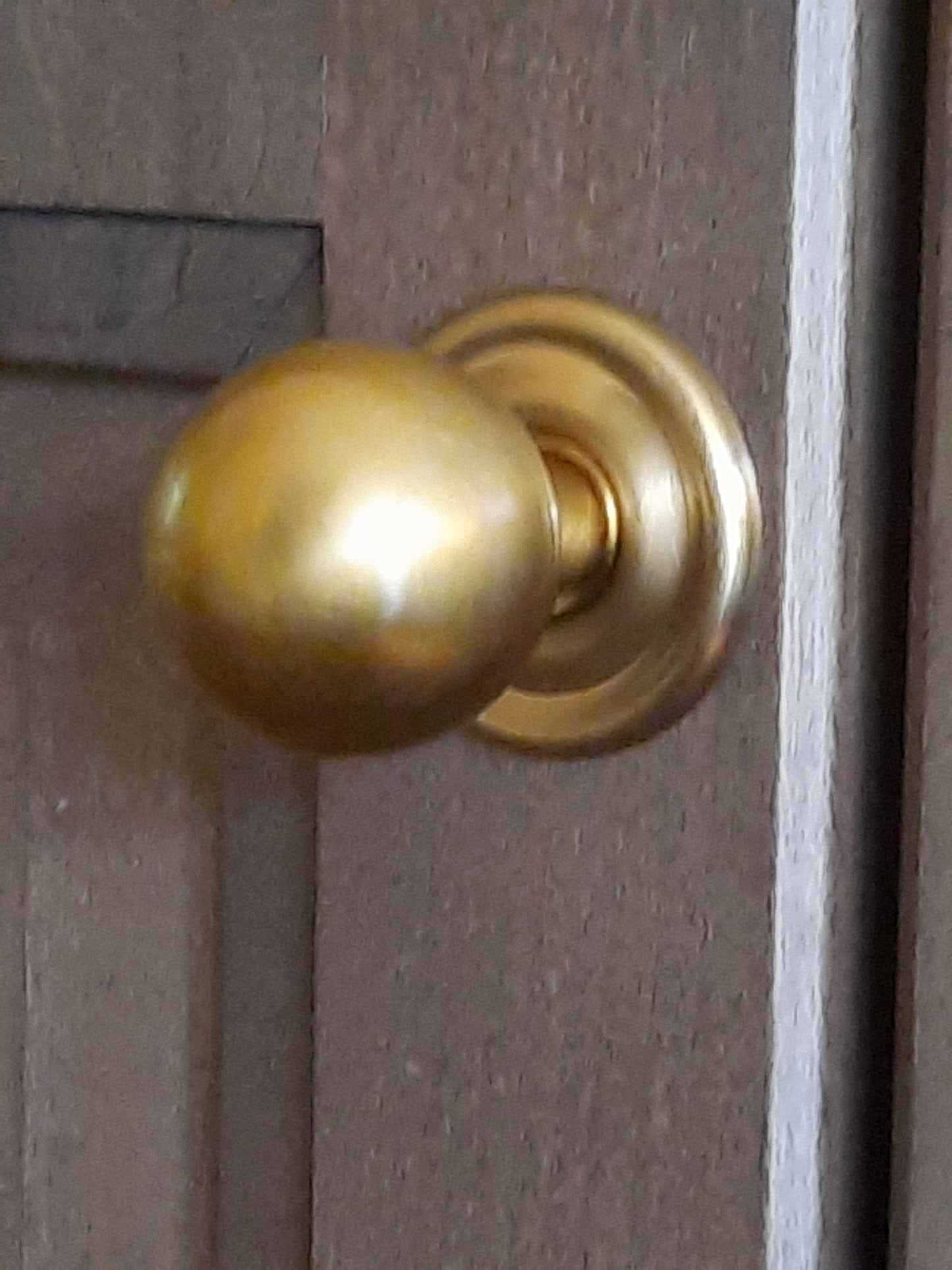 Raleigh Knob Backplate