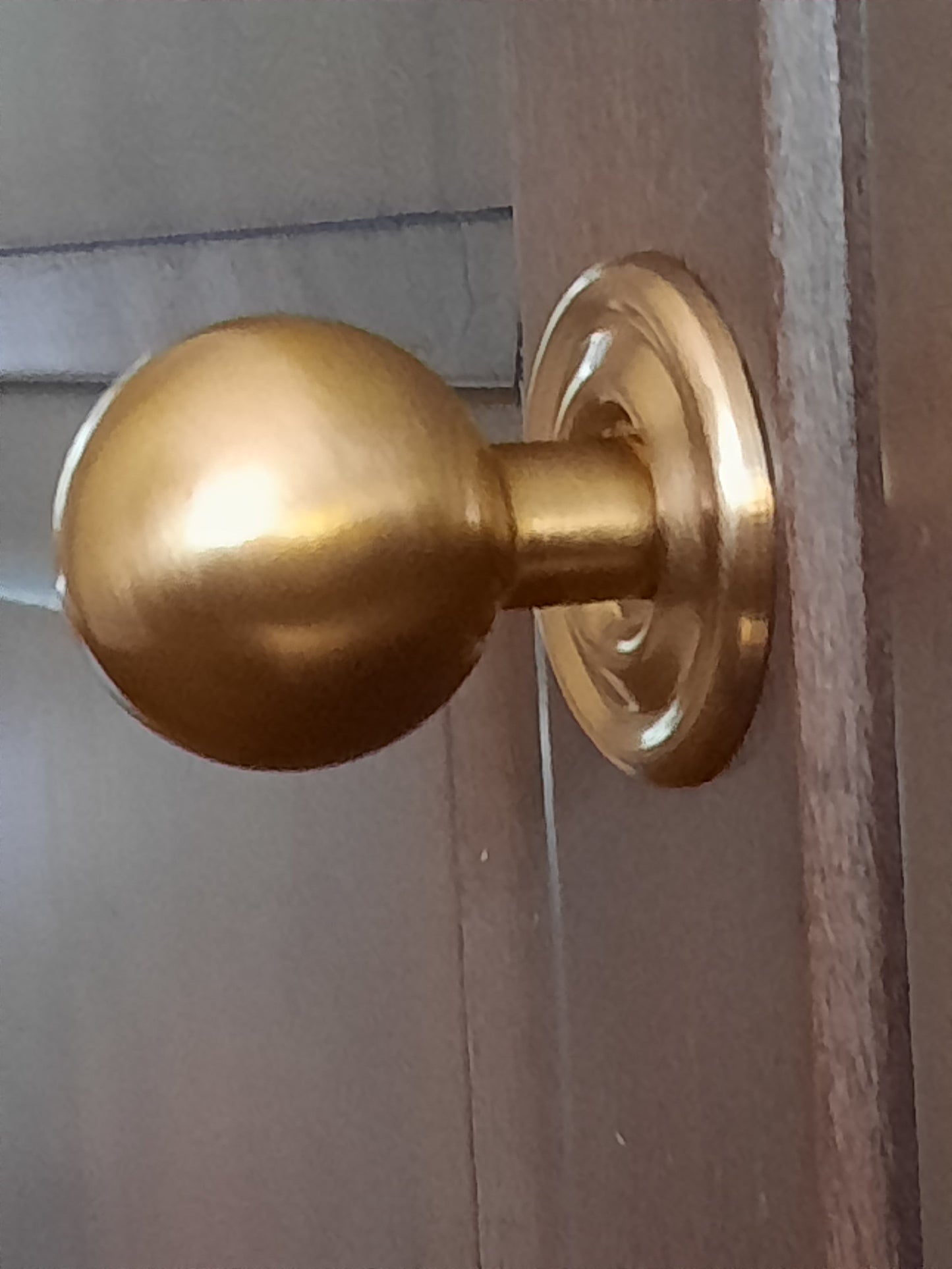 Raleigh Knob Backplate