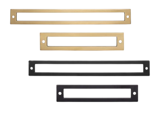 Raleigh Backplate